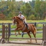 Rider jumping a chestnut horse over a low fence in an outdoor arena