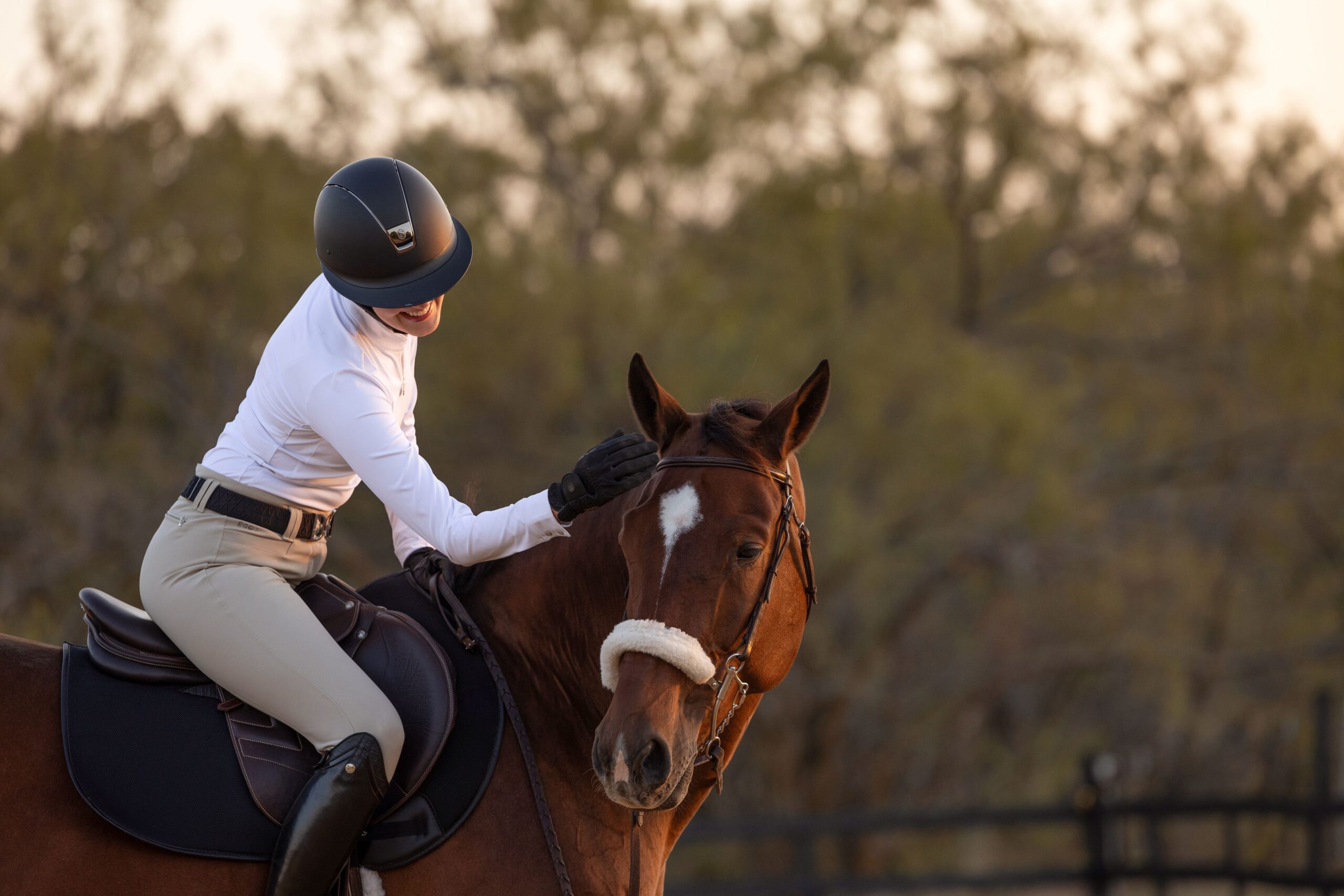 Hunter Jumper Horses for sale: rider gently patting a calm bay horse during a relaxed moment