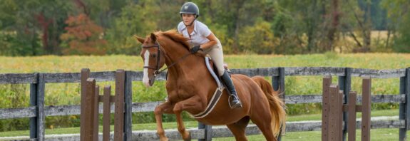 Rider jumping a chestnut horse over a low fence in an outdoor arena